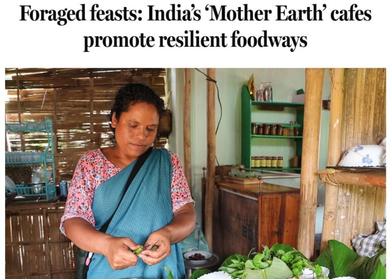 Foraged feasts Indias Mother Earth cafes promote resilient foodways