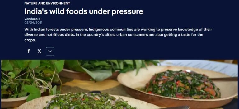 Indias wild foods under pressure