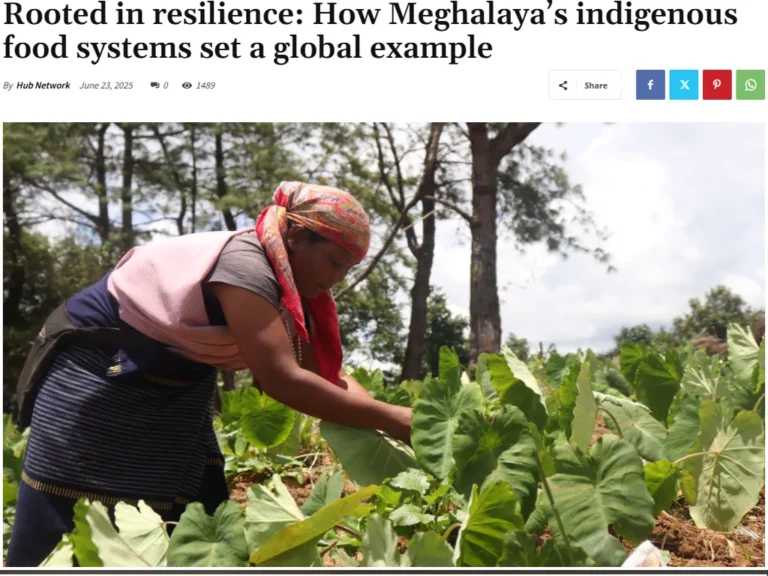 Rooted in resilience How Meghalayas