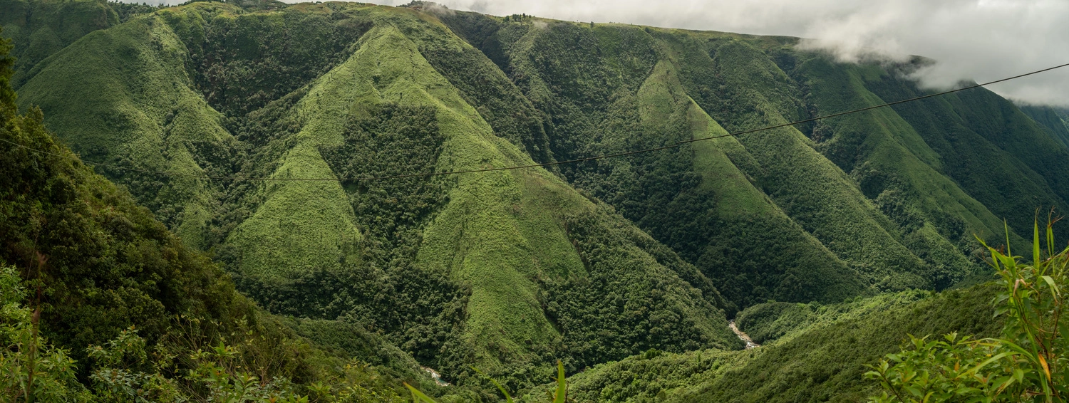 Read more about the article Towards an Agroecological Transition, Khatarshnong Laitkroh Landscape- Consortium for Agroecological Transformations (CAT)