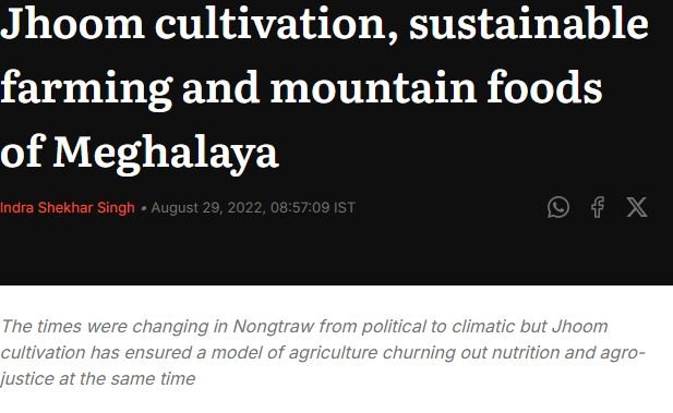 Jhoom cultivation, sustainable farming and mountain foods of Meghalaya 8 jhoom