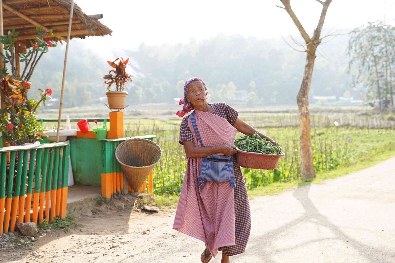 Read more about the article The Market Exists. So, Why Are Meghalaya’s Farmers Still Poor?