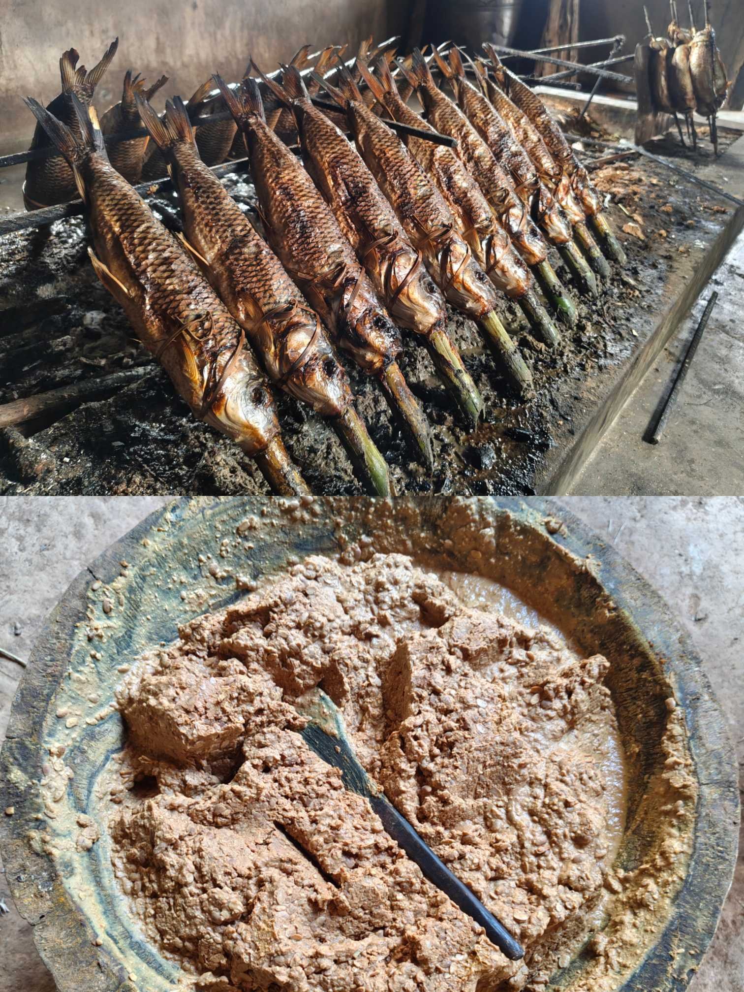 Read more about the article Living Food Traditions: Meghalaya’s Indigenous Smoked Fish and Fermented Soybeans