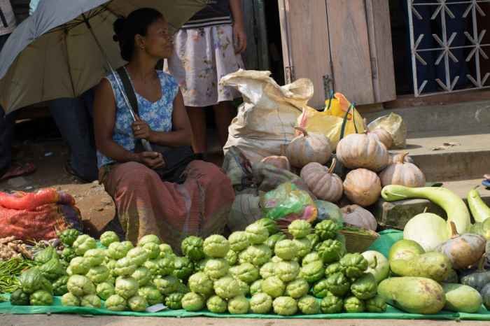 Read more about the article Indigenous food systems of the Garo Hills of Meghalaya: nutritional composition and potential health benefits of traditional green leafy vegetables